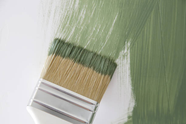 Reliable Beaverton, MI Mold Removal Solutions