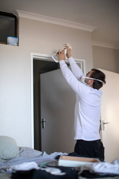 Best Water Damage & Mold Remediation  in Beaverton, MI