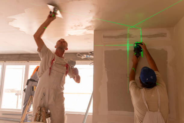 Trusted Beaverton, MI Mold Removal Experts