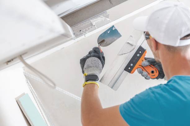  Beaverton, MI Mold Removal Pros